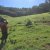 Norfolk Island July 2019